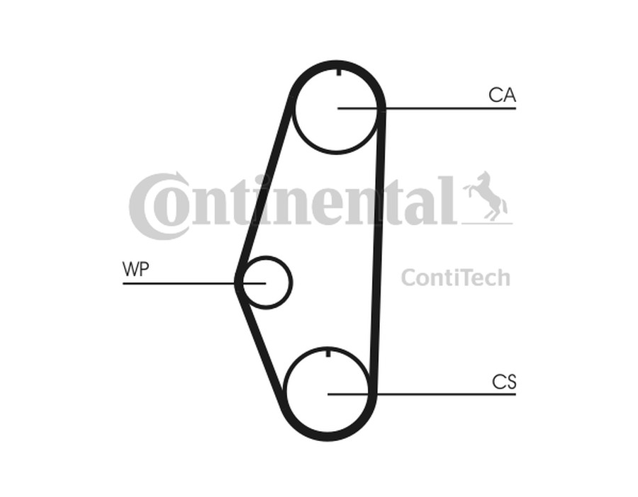 CINGHIA TRAPEZOIDALE_CT629