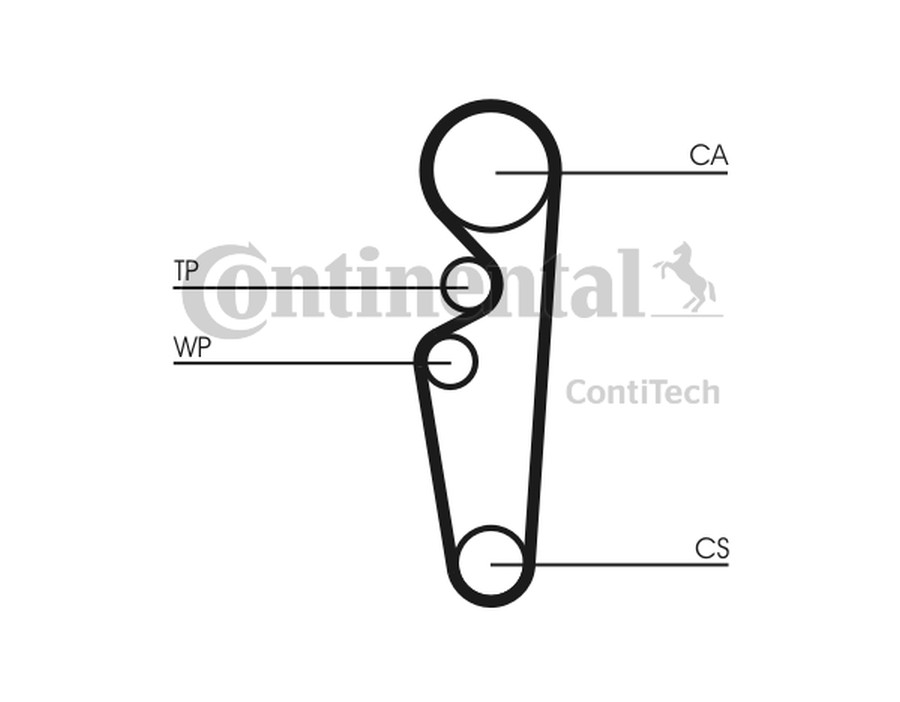 CINGHIA DENTATA_CT729