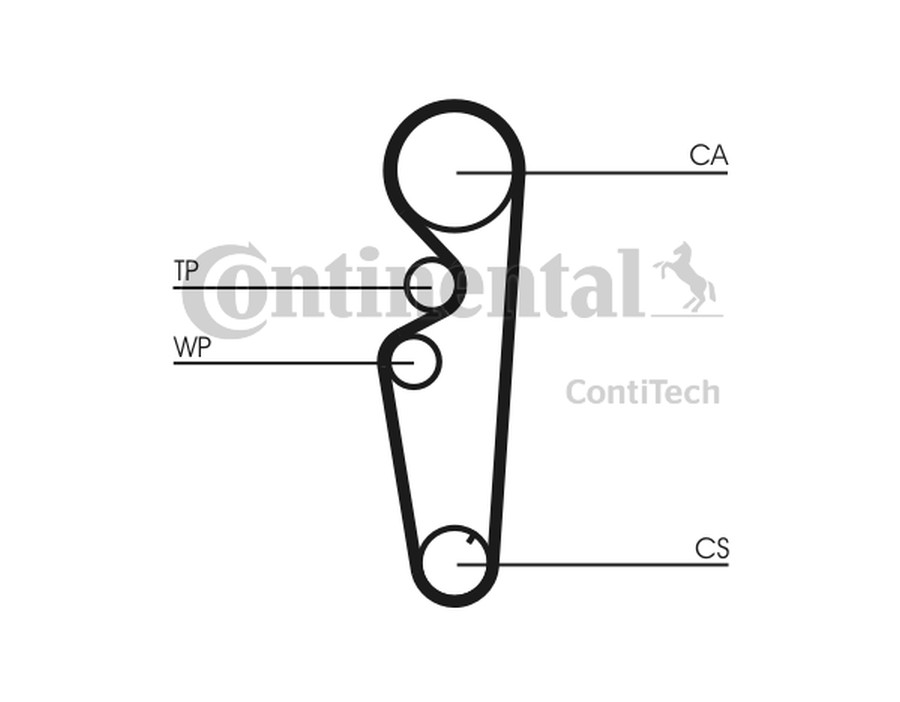 CINGHIA POLY-V_CT878