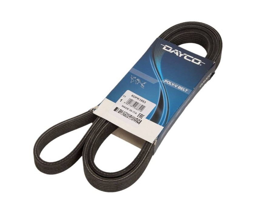 Cinghia Poly-V
