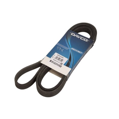 Cinghia Poly-V