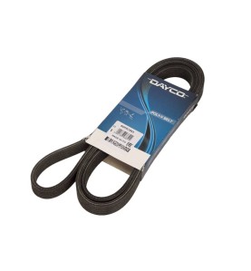 Cinghia Poly-V