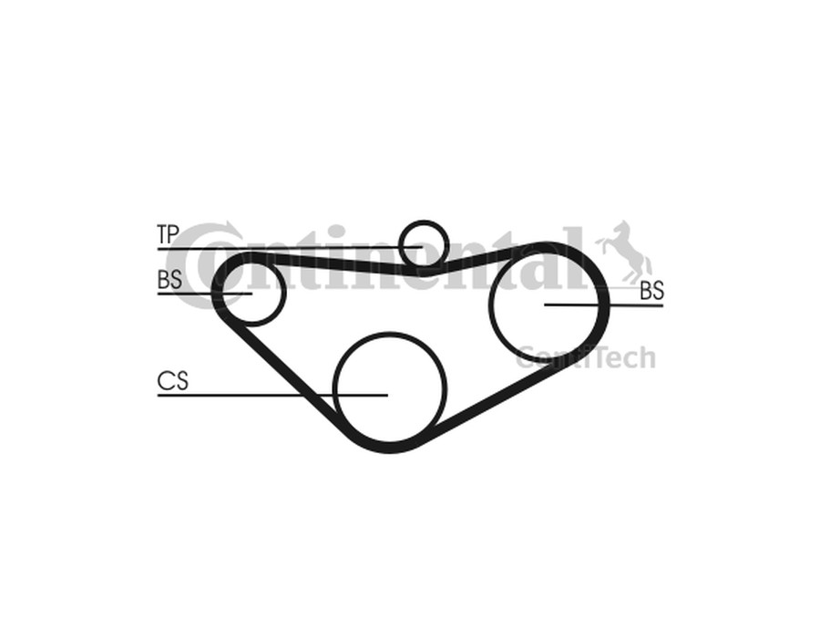 FLESSIBILE DEL FRENO_CT800
