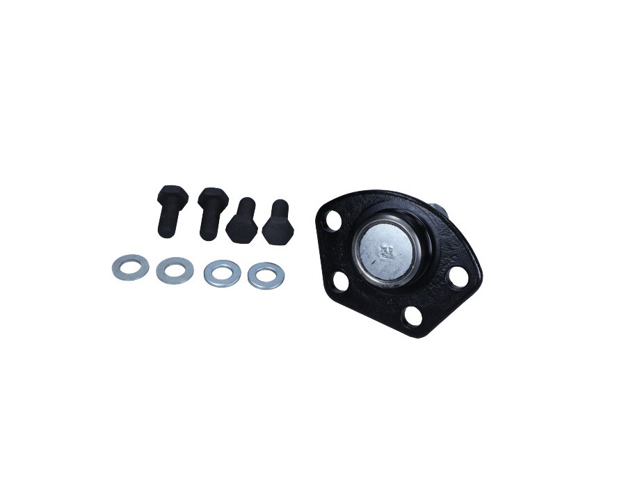 PARAOLIO, ALBERO A CAMME_5041914