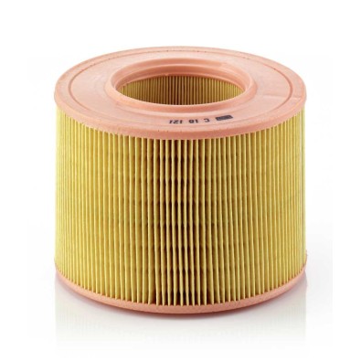 Filtro aria