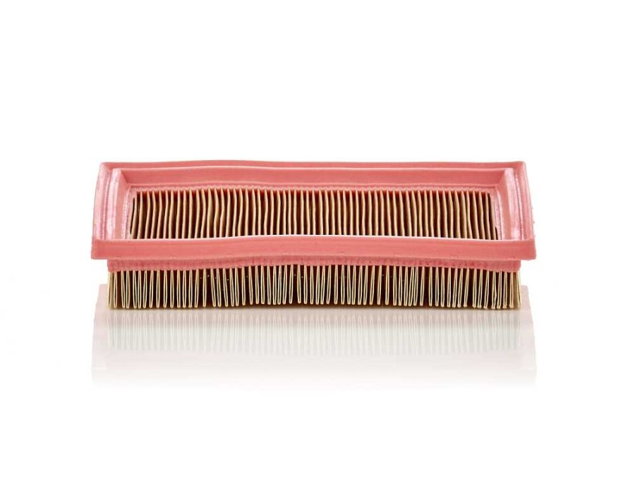 AMMORTIZZATORE_C2244