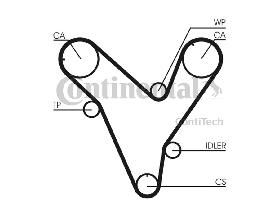 GALOPPINO/GUIDACINGHIA, CINGHIA DENTATA_CT829
