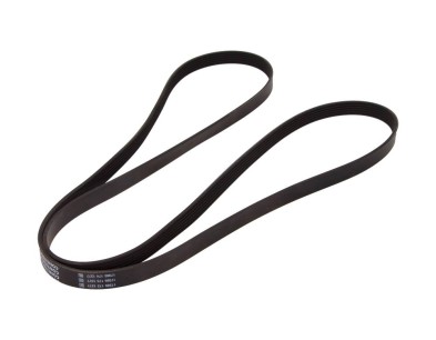 Cinghia Poly-V