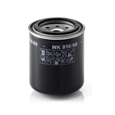 Filtro carburante