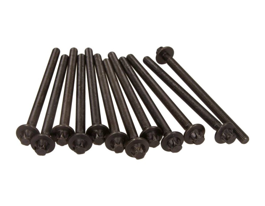 GALOPPINO/GUIDACINGHIA, CINGHIA DENTATA_14-32132-02