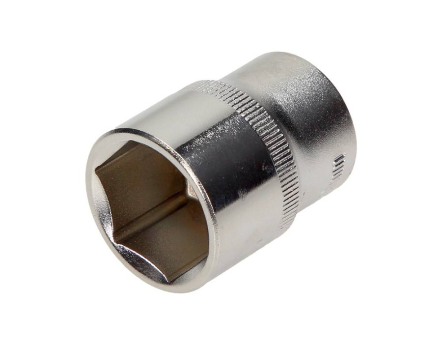 PARAOLIO, ALBERO A CAMME_YT-1215