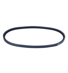 Cinghia trapezoidale