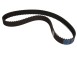 Cinghia dentata