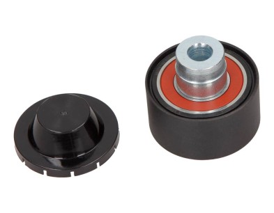 Galoppino/Guidacinghia