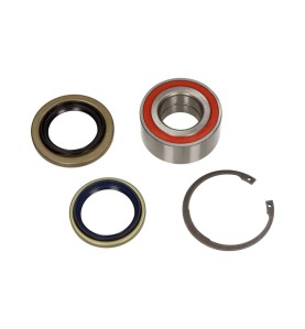 Kit cuscinetto ruota