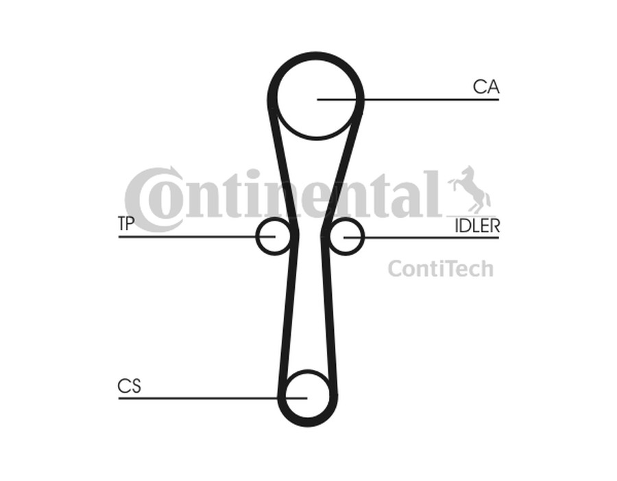 KIT CINGHIE DENTATE_CT1041K1
