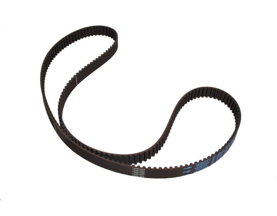 Cinghia dentata