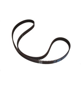 Cinghia dentata