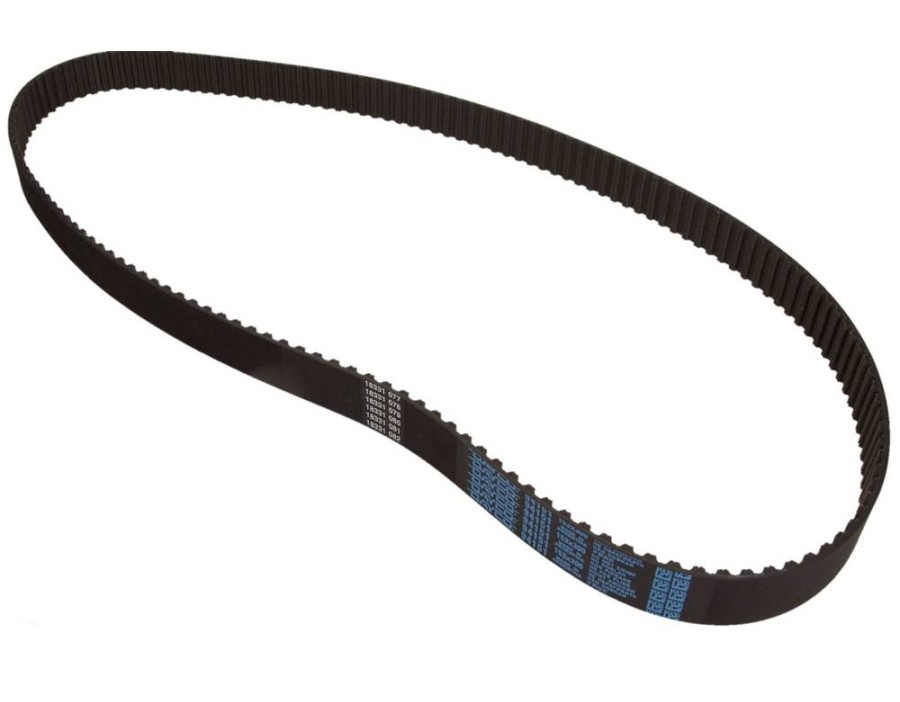 CINGHIA DENTATA_94151