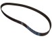 CINGHIA DENTATA_94151
