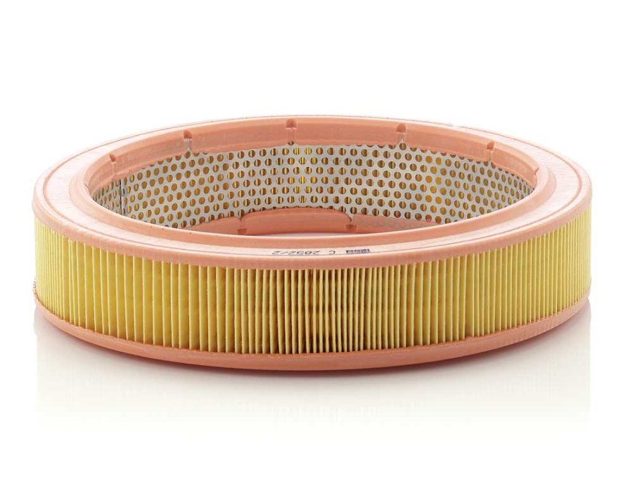 GALOPPINO/GUIDACINGHIA, CINGHIA POLY-V_C2852/2