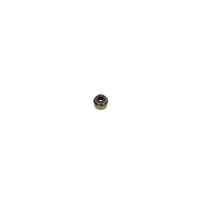 Anello tenuta