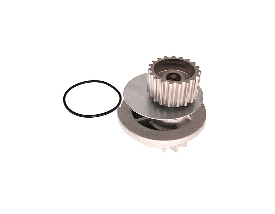 CINGHIA DENTATA_MGC-9001