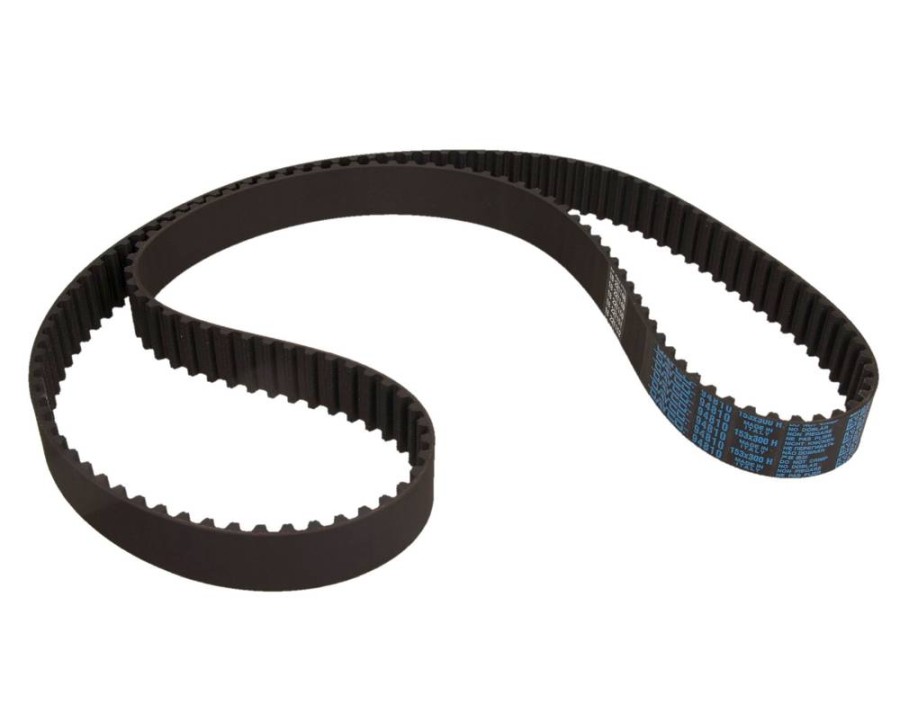 CINGHIA POLY-V_94810