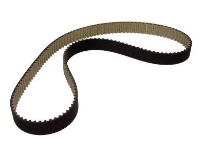 Cinghia dentata