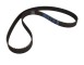 Cinghia dentata