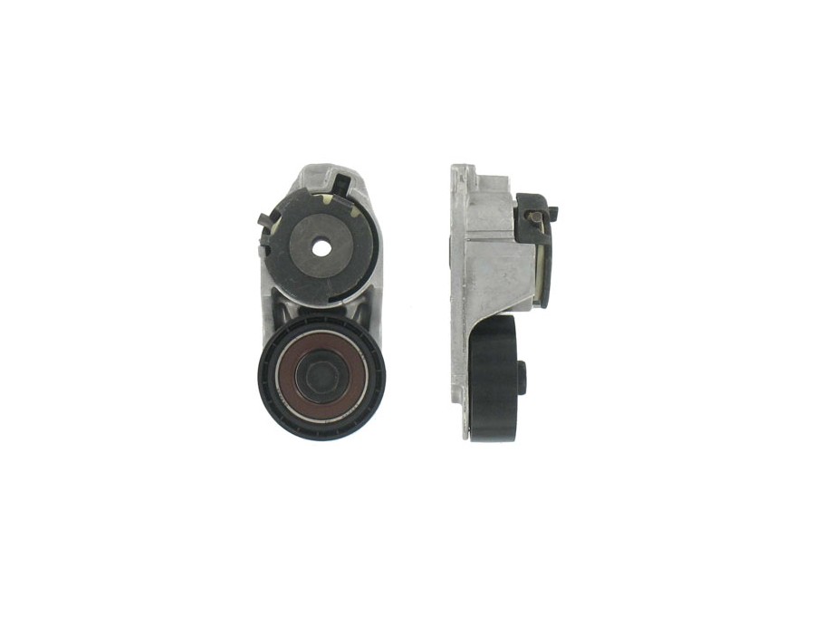 CINGHIA POLY-V_VKM34025