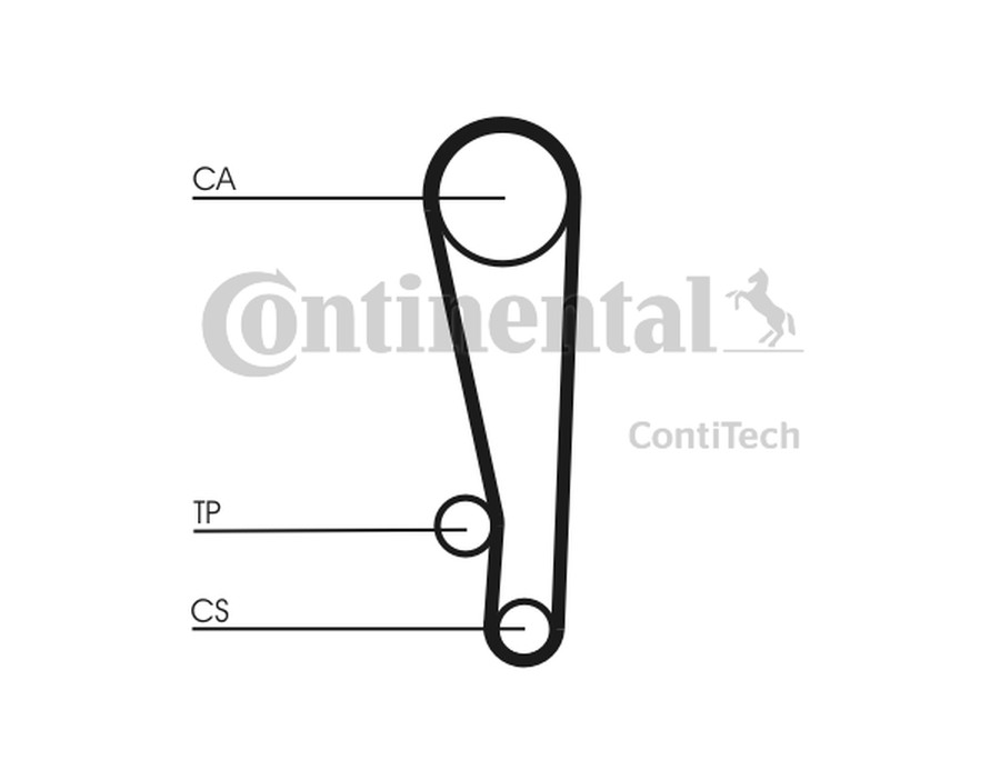 RADIATORE, RAFFREDDAMENTO MOTORE_CT1013K1