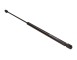 BRACCIO OSCILLANTE, SOSPENSIONE RUOTA_GS0160