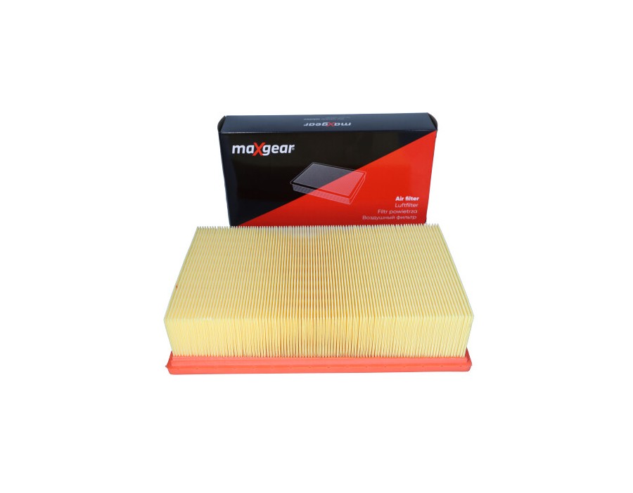 KIT CINGHIE DENTATE_AF-9216