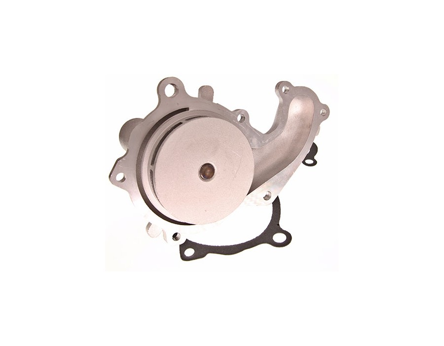 CINGHIA POLY-V_MGC-5209