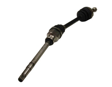 Albero motore/Semiasse