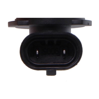Lampadina