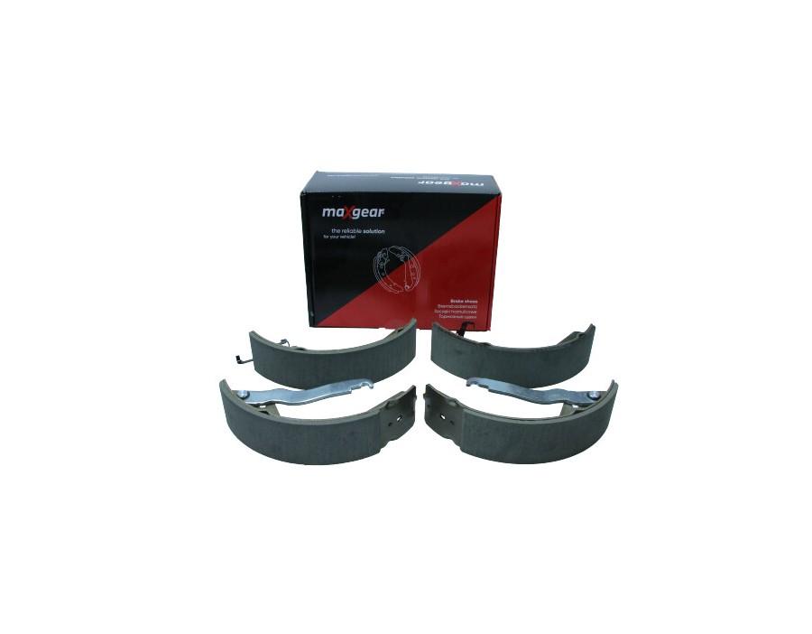 CINGHIA POLY-V_19-0271
