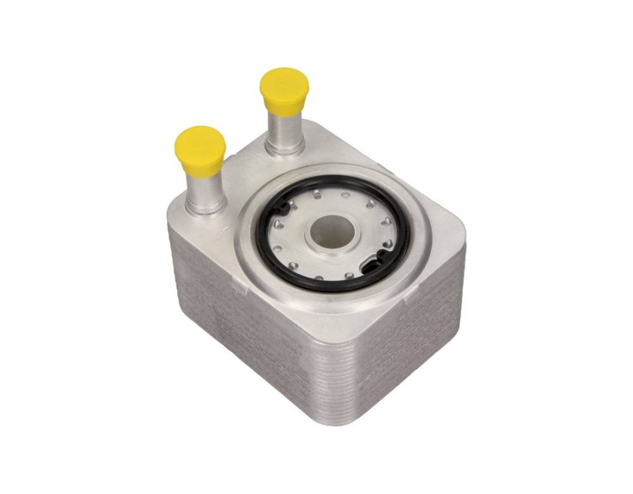 SPAZZOLA TERGI_14-0007