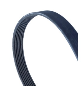 Cinghia Poly-V