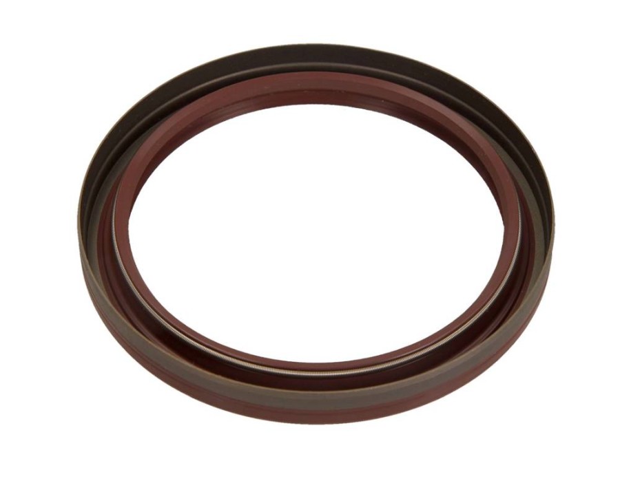 CINGHIA POLY-V_81-25268-10