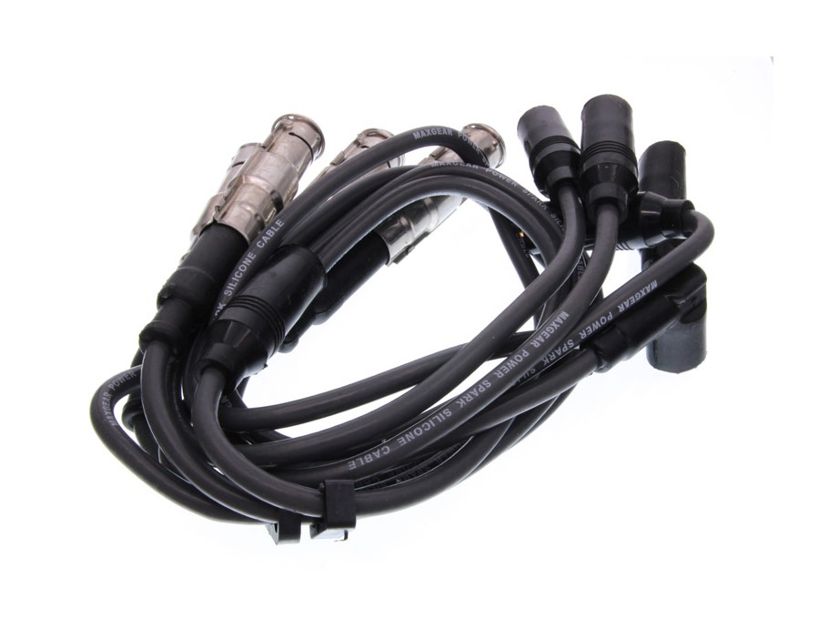 GALOPPINO/GUIDACINGHIA, CINGHIA POLY-V_53-0079