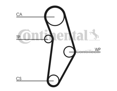 Pompa acqua + Kit cinghie dentate