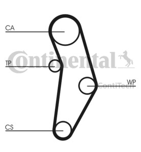 Pompa acqua + Kit cinghie dentate