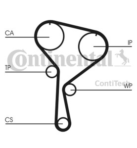 Pompa acqua + Kit cinghie dentate