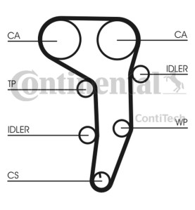 Pompa acqua + Kit cinghie dentate