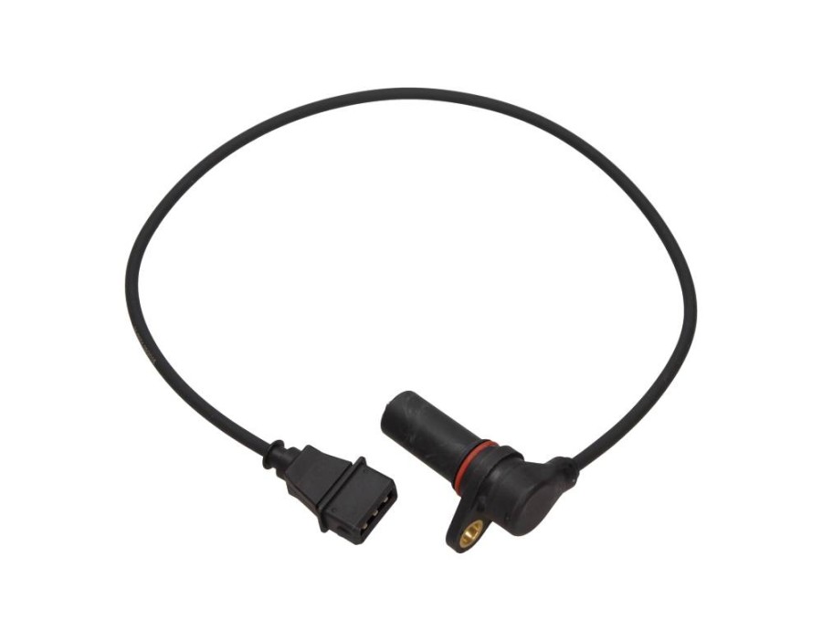 CINGHIA POLY-V_24-0084