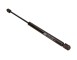 AMMORTIZATORE PNEUMATICO, COFANO BAGAGLI /VANO CARICO_GS0276