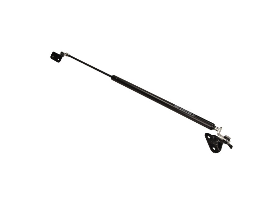 CINGHIA DENTATA_GS0087