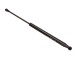 AMMORTIZZATORE PNEUMATICO, COFANO MOTORE_GS0501